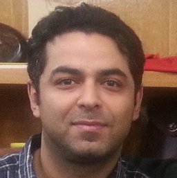 Dr Farhad Laylavi