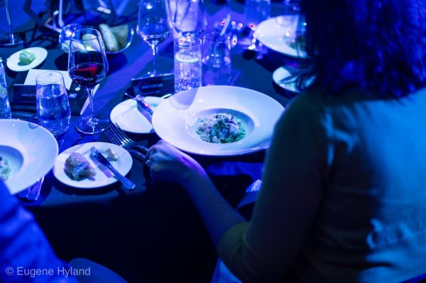 MEC Gala 2019 attendees