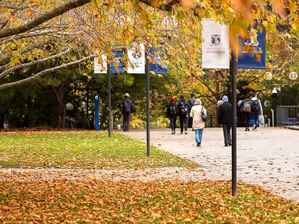 university of melbourne phd regalia