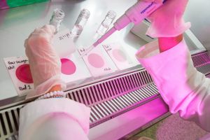 Lab testing 