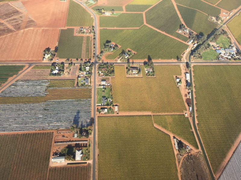 Image of agricultural land in the Mallee region.