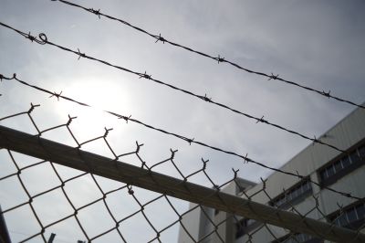 Barbed wire fence