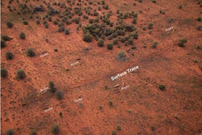 Earthquake Petermann Ranges