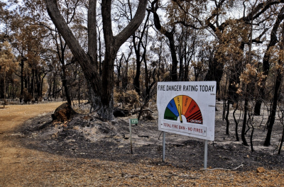 Burnt trees and bushfire warning sign