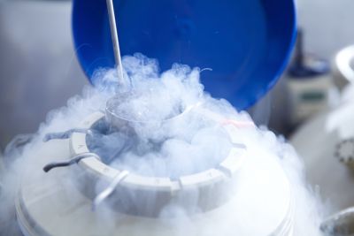 Egg freezing machine 