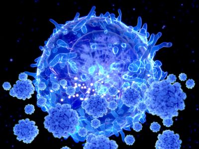 Image showing T cells targeting SARS COVID-2 viruses