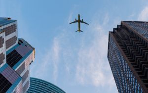 Taking flight