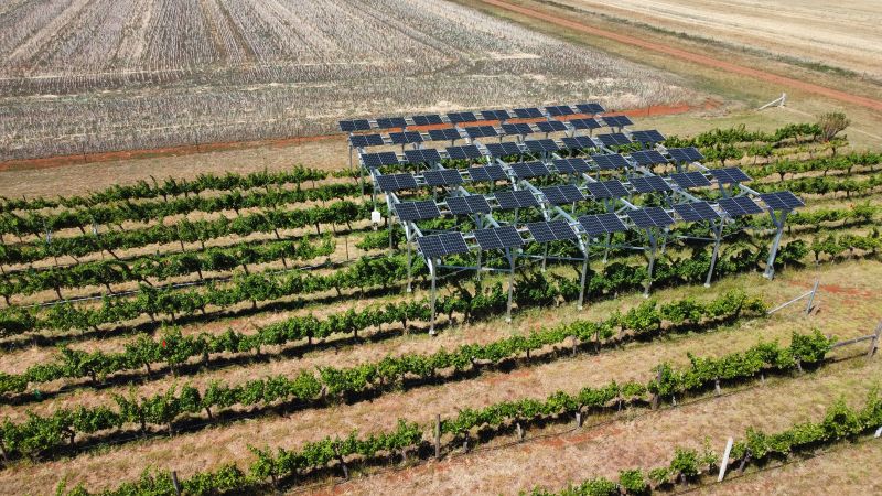 Aerial shot of Dookie agrivoltaic vineyards