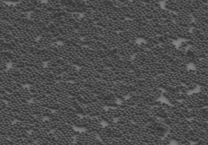 Nanoplastic particles under scanning electron microscope. Image credit Dr Lukas Wesemann, University of Melbourne, and Mario Hentschel, University of Stuttgart.