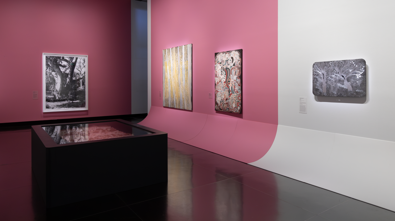 Installation view of Ngarn Wa'ngal: Art of the gum tree,
