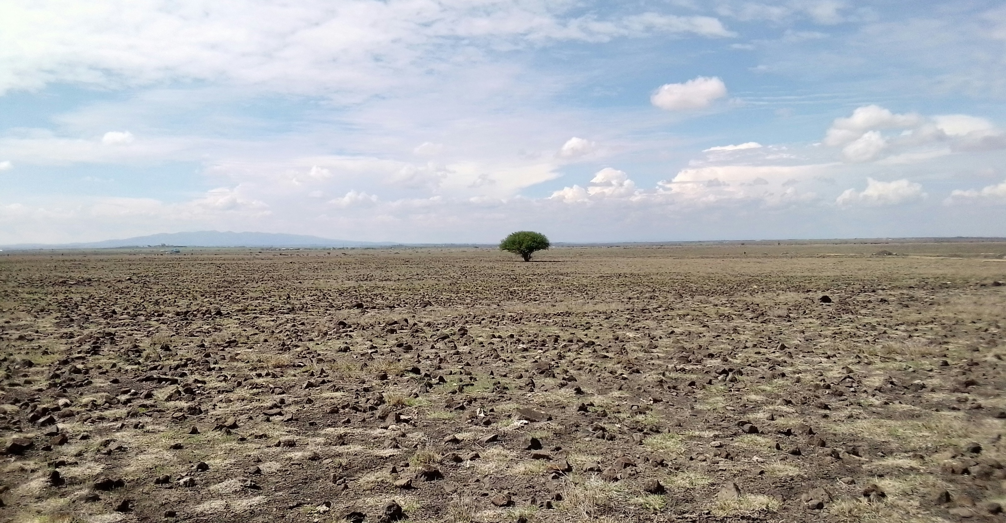 Prevent Future Risk Climate change: Laws and policies must change to prevent future ...