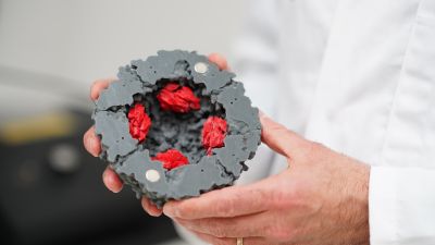 Existing blood tests measure ferritin – a protein that stores iron – rather than iron itself. FeBI Technologies aims to change that. Image: The Florey Institute 