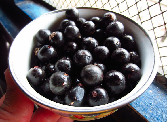 Açai berry