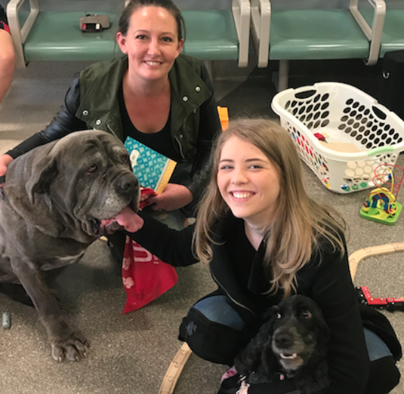 Image of a canine blood donors with his owner along with a dog who was saved by blood transfusion with her owner.