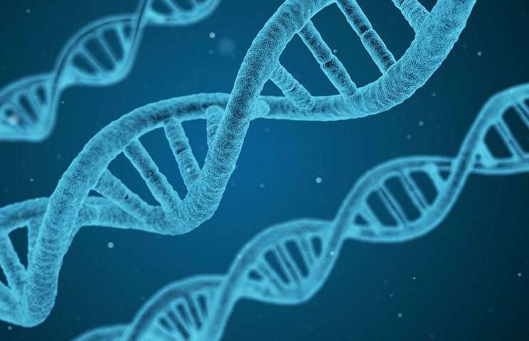 Graphic illustration of DNA.