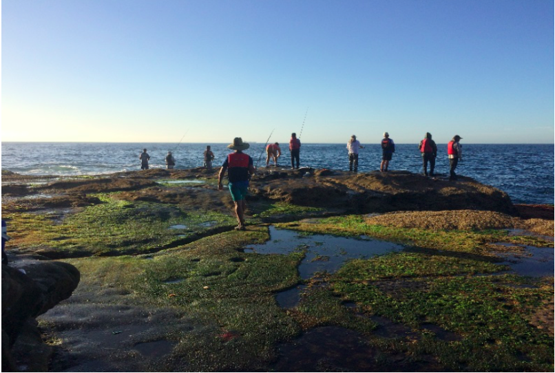 A group of people fish off a rock ledge jutting out into the ocean