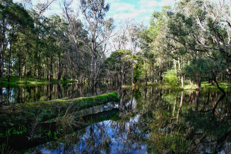 View across a wetland with woodlands on both sides reflecting back into the water