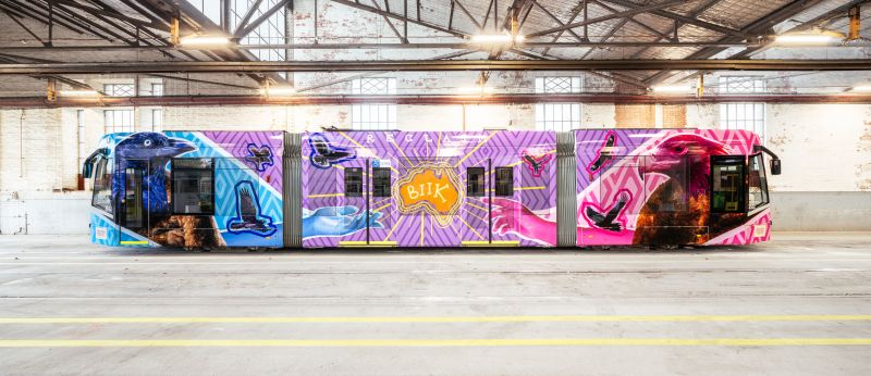 Reclaiming Biik by artist Amina Briggs