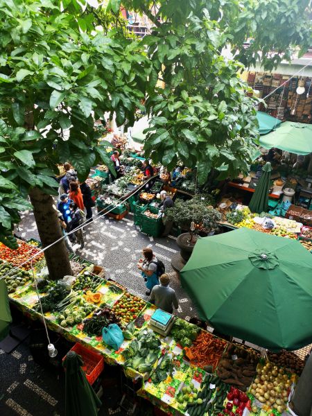 Arial view of food in a street market. An opened umbrella and large tree frames the picture.
