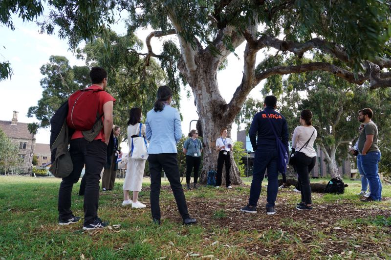 Group of around 10 people participating in the Biodiversity Tour on Parkville campus. They are standing around the Significant Trees west of the sports oval at Parkville campus