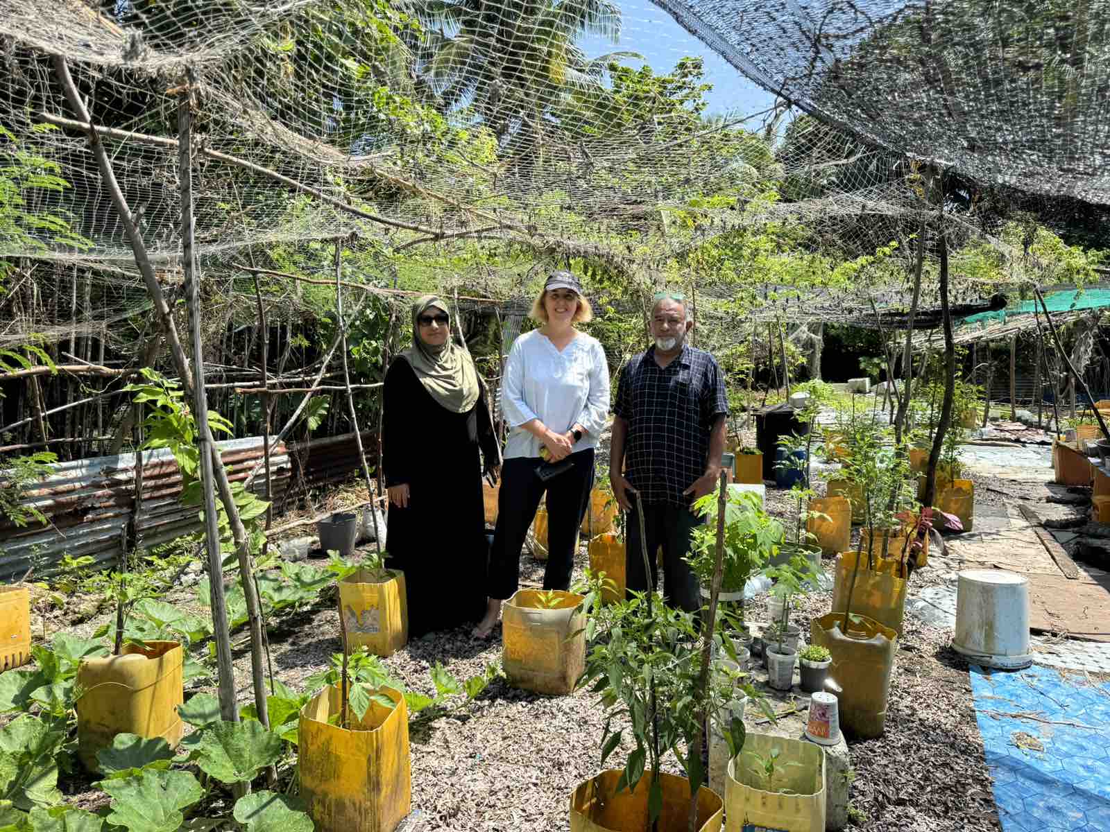 People standing in an outdoor garden with raised beds and netting