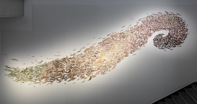 Installation view of Ngarn Wa’ngal: Art of the gum tree, Potter Museum of Art
