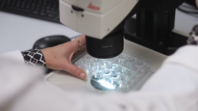 Image for Melbourne joins global consortium to advance drug discovery
