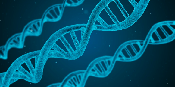 Digital illustration of DNA.