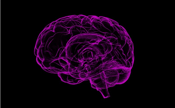 Graphic illustration of a human brain.