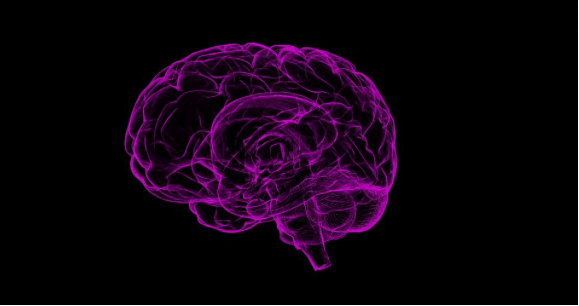 Graphic illustration of the outline of a human brain.