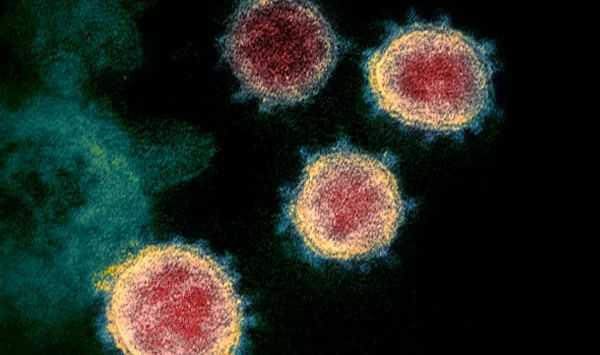 Stock image of cells. 