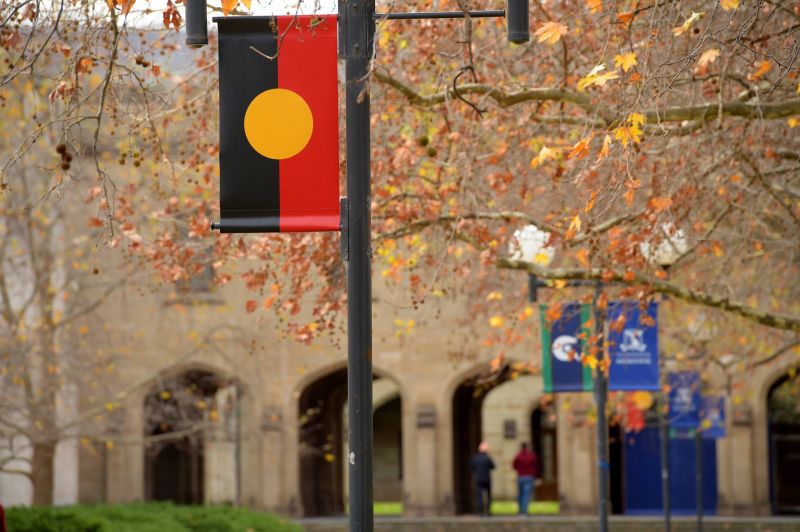 Aboriginal flag