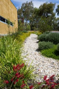 A garden pathway lined with white pebbles and surrounded by various green plants and red flowers, with a yellow wooden building in the background