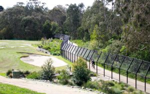 Darebin Creek Trail