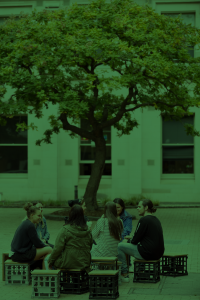 A tinted image of a group of people meeting on padded milk crates outside with a tree above them.
