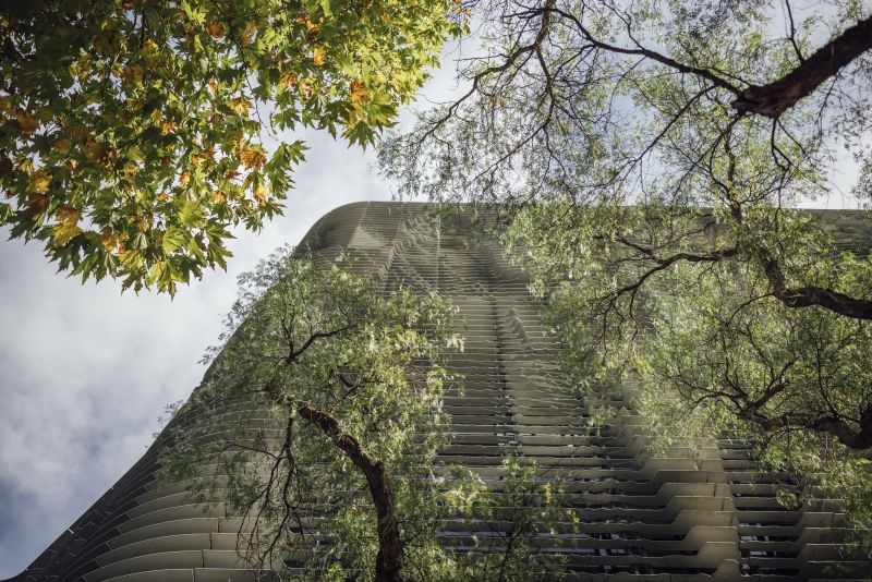 Skyward shot of the ARts West building with trees at the edges of the frame.
