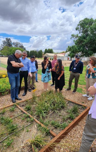 Participants standing around a garden bed.