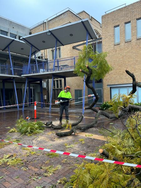 A member of the Landscape Solutions team collecting hard green waste, vegetation, leaf litter at Parkville campus
