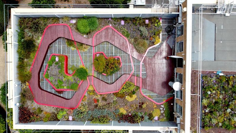 Aerial shot of Burnley Demonstration Green Roof showing small plants, terracing and irrigation