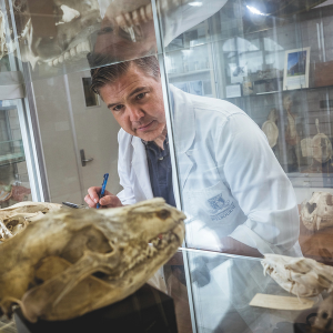 Photo of Prof Andrew wearing a lab coat and conducting research.
                                class=