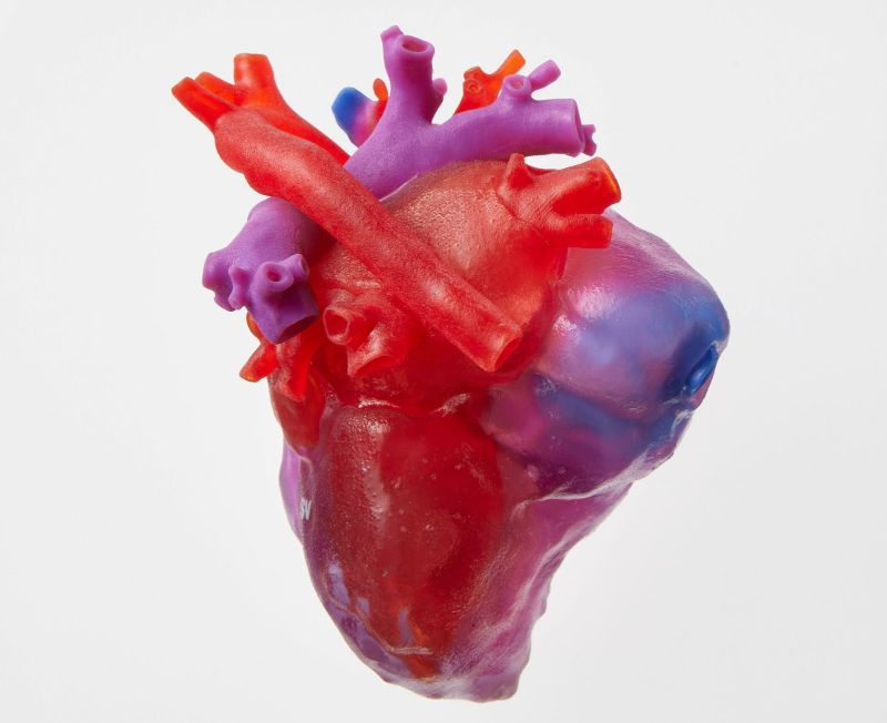 Three-dimensional paediatric heart model. Image supplied by Heartrium