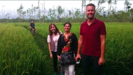 Rice biofortification researchers in an Indonesian rice field. 