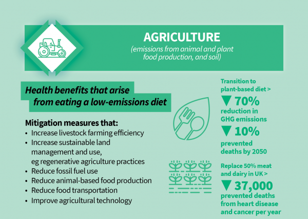 Health benefits of agricultural sector climate change mitigation measures