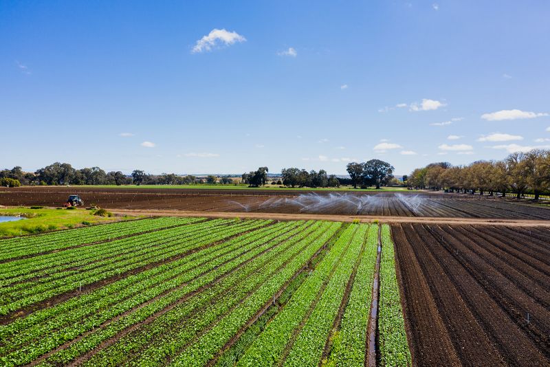 A tractor ploughing through a green field