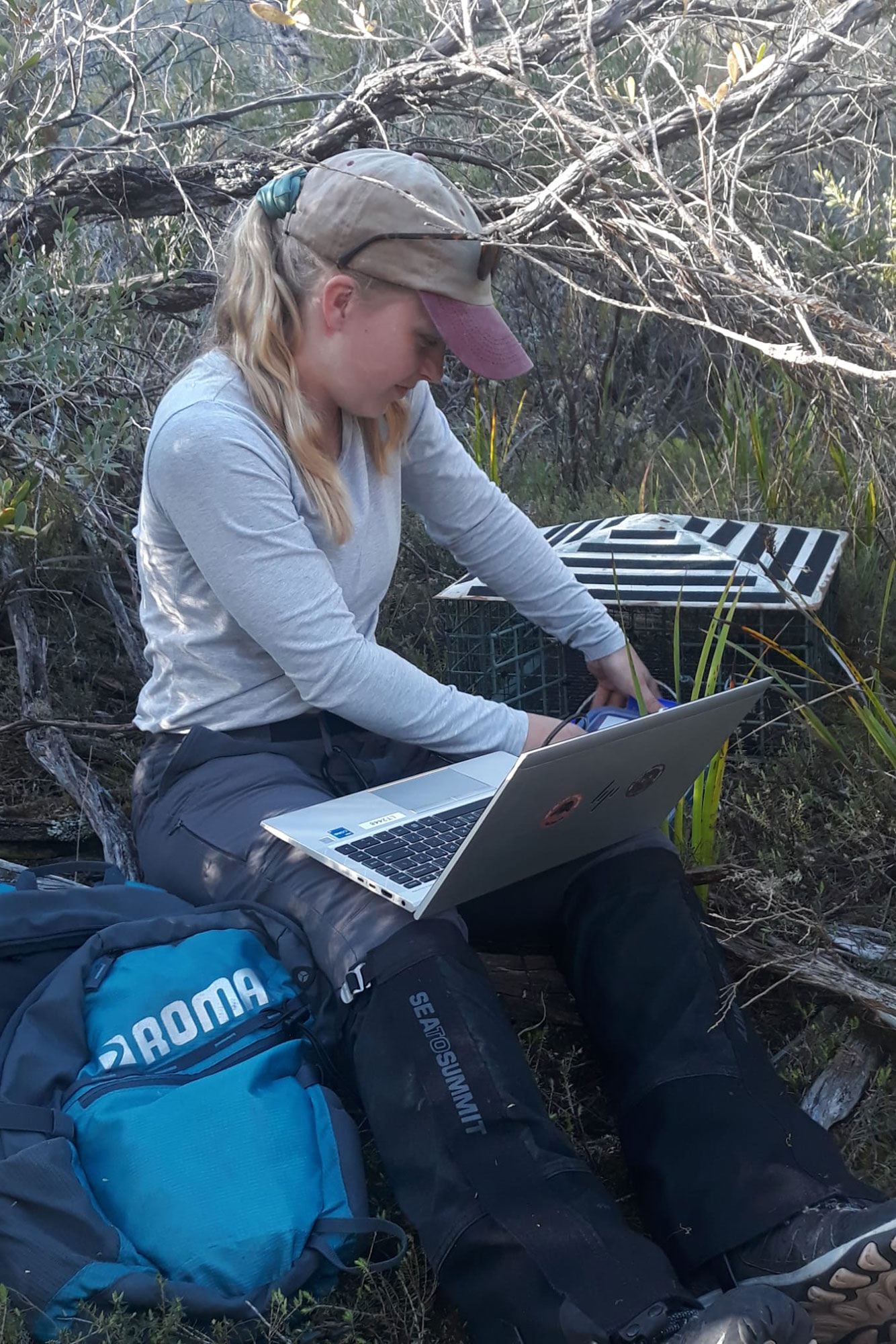 Nadia Nieuwhof releasing native rodents called Pookilas at Wilson's Promontory.