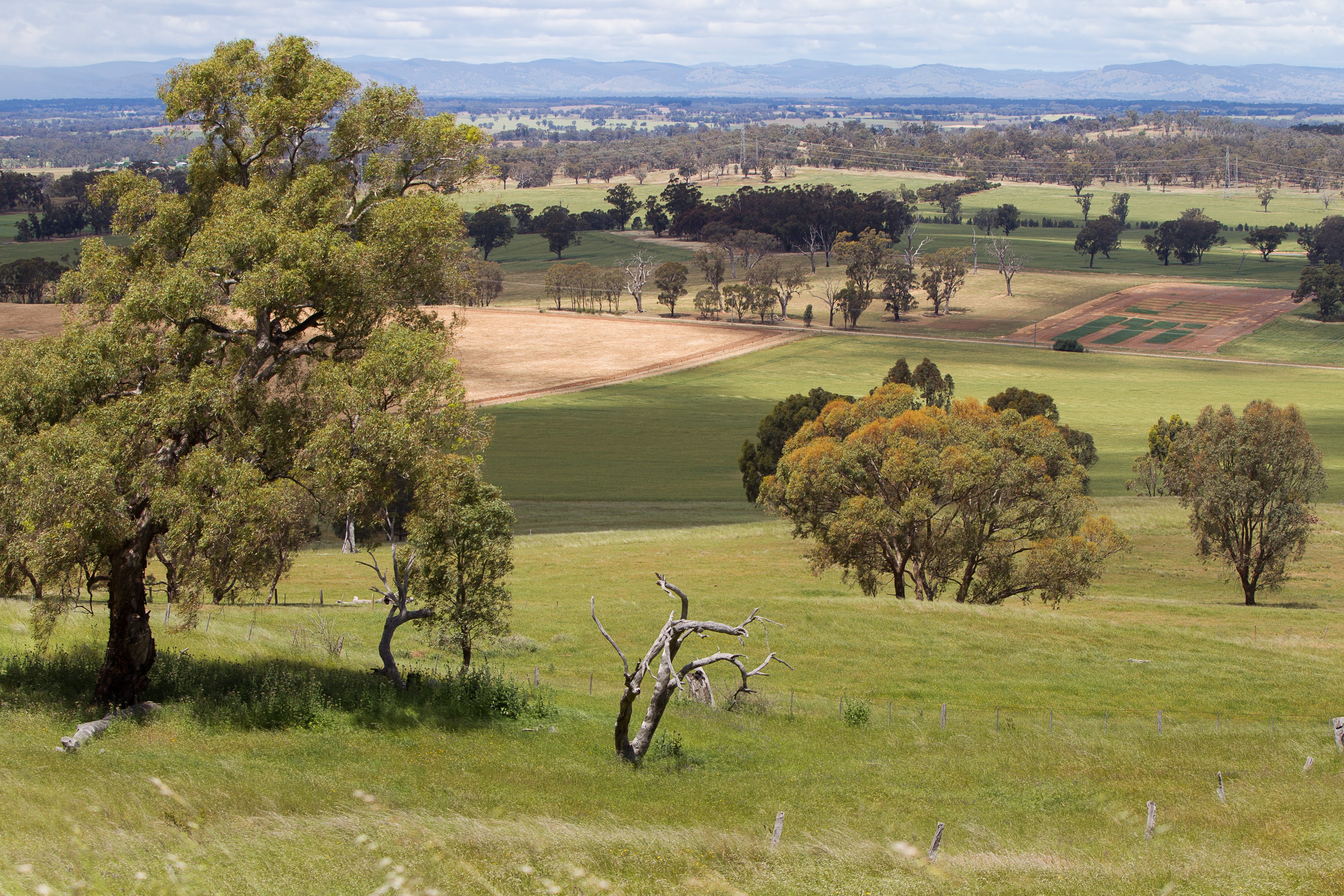 Image of farm land