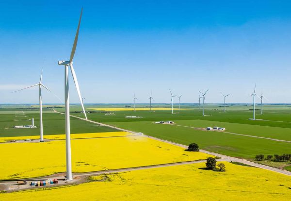 Wind turbines operating across wide farmland with green fields and yellow crops under a clear blue sky