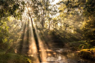 Bridge over Creek, Alphington, Wurundjeri country. Tiffany Garvie. Source: Ngarrngga. © Tiffany Garvie 2023. Used under licence.