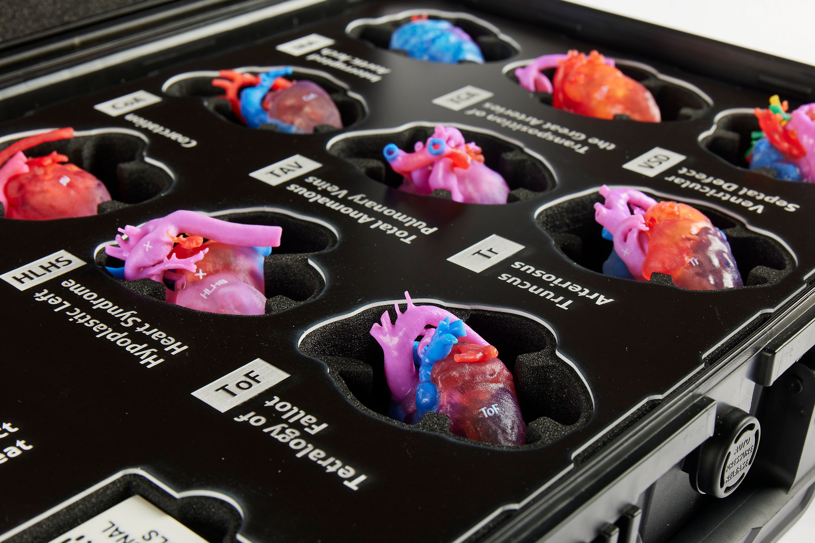 world's first anatomically accurate set of three-dimensional paediatric heart models. 