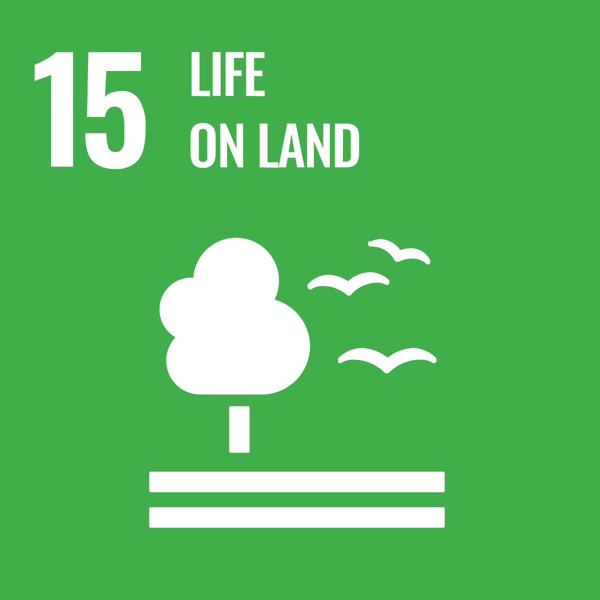 Graphic of Sustainable Goals: 15 Life on Land